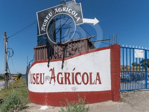 토지 / Montemor-o-Novo, Montemor-O-Novo