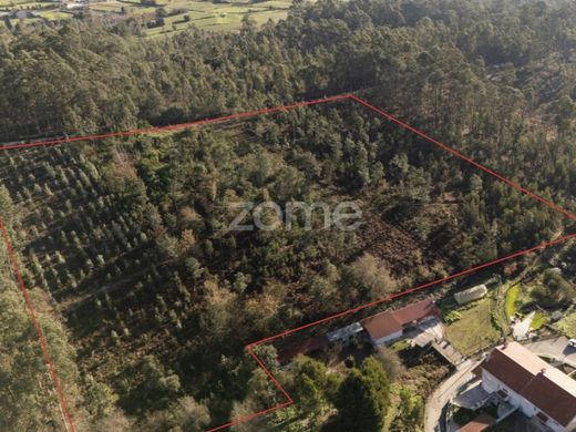 Land in Santa Maria da Feira, Aveiro