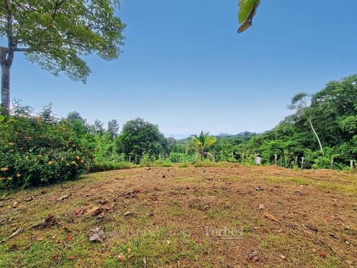 Terreno a Osa, Provincia de Puntarenas