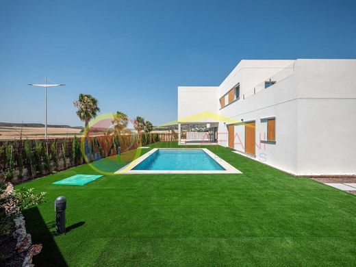 Luxe woning in Algorfa, Provincia de Alicante
