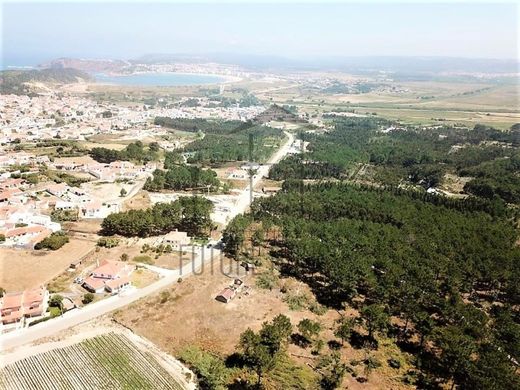 Land in Caldas da Rainha, Distrito de Leiria