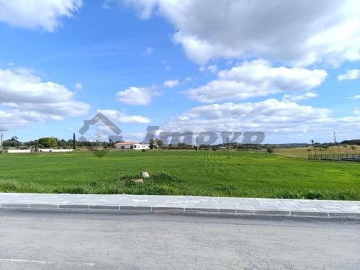 Land in Castro Verde, Distrito de Beja