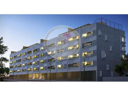 Daire Porto, Distrito do Porto