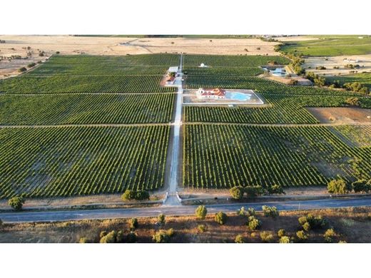 Fazenda - Redondo, Évora