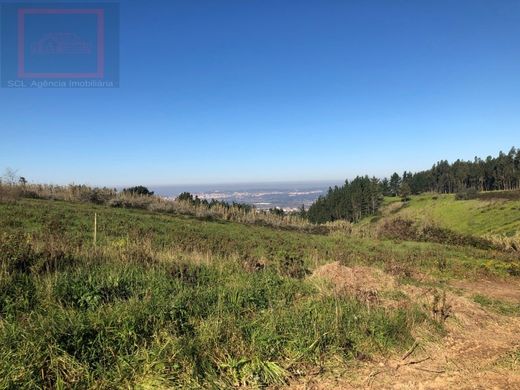 Villa in Alcobaça, Distrito de Leiria