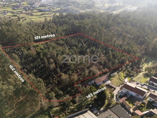 Santa Maria da Feira, Distrito de Aveiroの土地