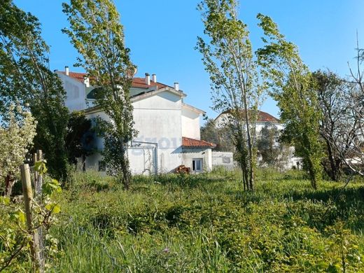 Teren w Leiria, Distrito de Leiria