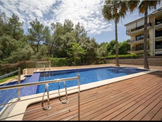 Daire Palma de Mallorca, Illes Balears