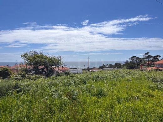 Grond in Viana do Castelo, Distrito de Viana do Castelo