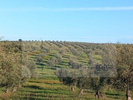 Fattoria a Mourão, Distrito de Évora