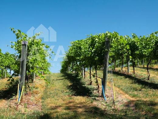 Lagoa, Distrito de Faroのカントリー風またはファームハウス