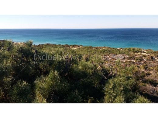 Terreno a Grândola, Distrito de Setúbal