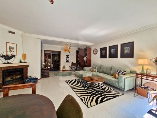 Daire Viana do Castelo, Distrito de Viana do Castelo