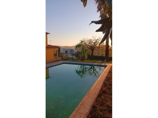 Detached House in Vila Nova de Famalicão, Distrito de Braga