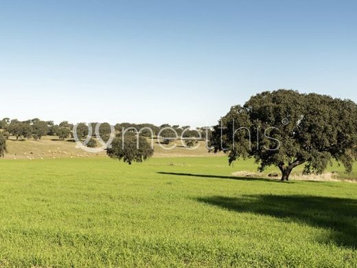 Ferme à Alcácer do Sal, Distrito de Setúbal
