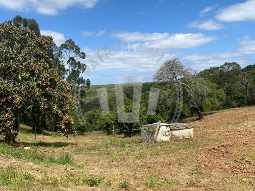 호화 저택 / Odemira, Distrito de Beja