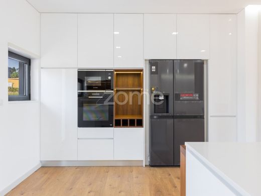 호화 저택 / Barcelos, Distrito de Braga