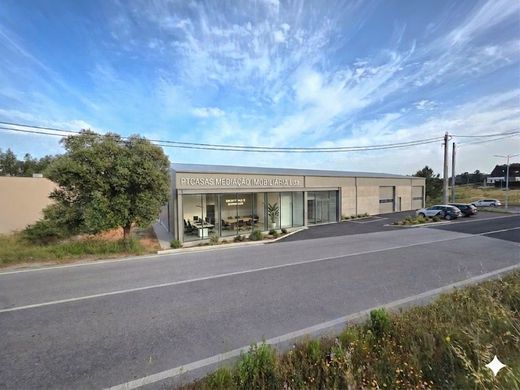 Land in Torres Vedras, Lisbon