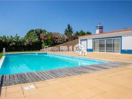 Farma w Ferreira do Alentejo, Distrito de Beja