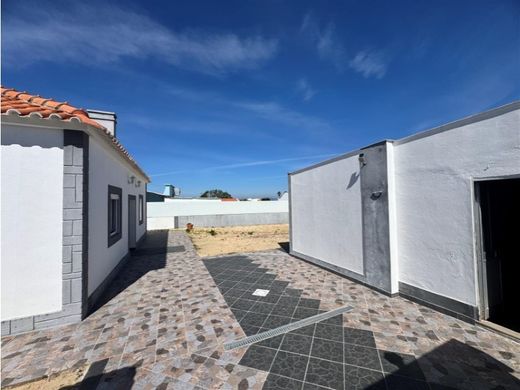 Luxury home in Alcácer do Sal, Distrito de Setúbal