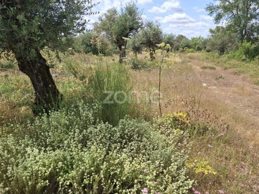 Land in Borba, Distrito de Évora
