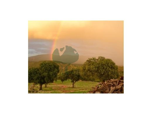 Villa in Ciudad Real, Castille-La Mancha