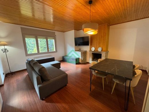 Apartment / Etagenwohnung in La Massana
