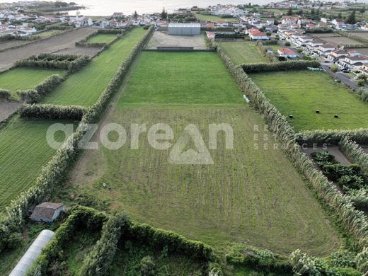 토지 / Ponta Delgada, Azores