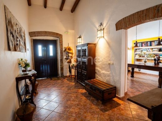 Πολυτελή κατοικία σε Vidigueira, Distrito de Beja