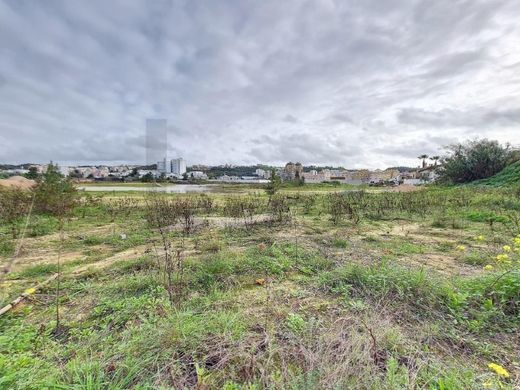 Land in Santarém, Distrito de Santarém