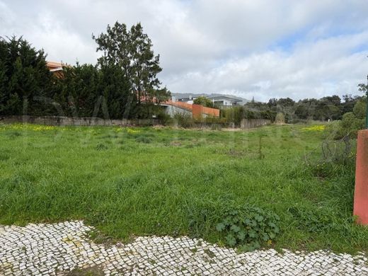 Teren w Sintra, Distrito de Lisboa