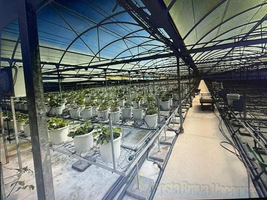 Terreno en Malgrat de Mar, Provincia de Barcelona