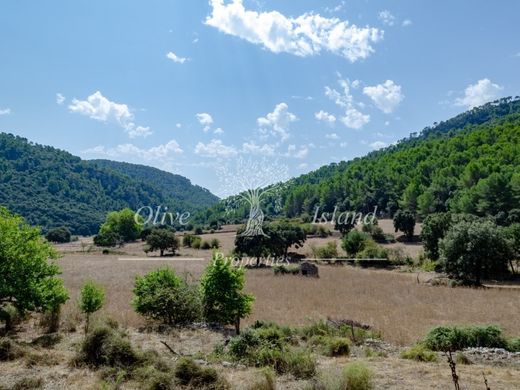 Bunyola, Illes Balearsの土地