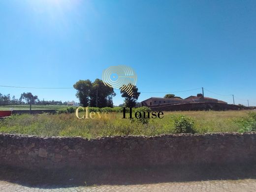 أرض ﻓﻲ Esposende1, Esposende