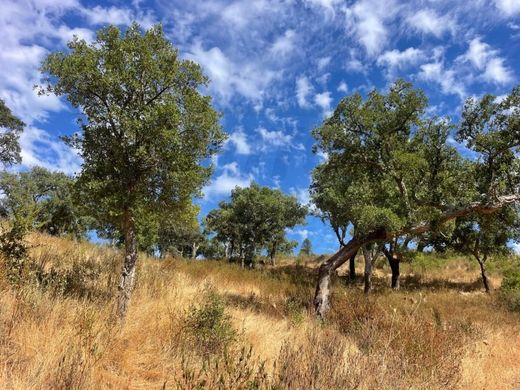 Ferme à Santiago do Cacém, Distrito de Setúbal