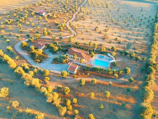 Luxury home in Fronteira, Distrito de Portalegre