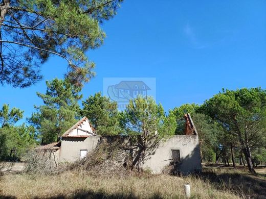 Grândola, Distrito de Setúbalの土地