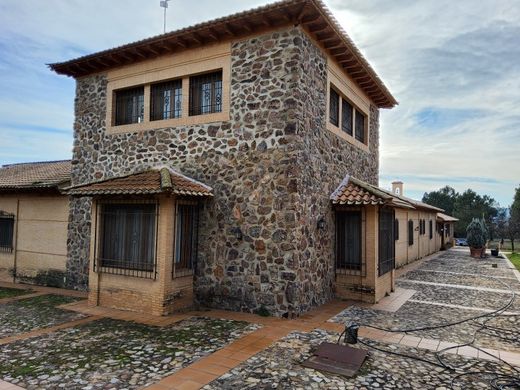 Luxus-Haus in Piedrabuena, Ciudad Real