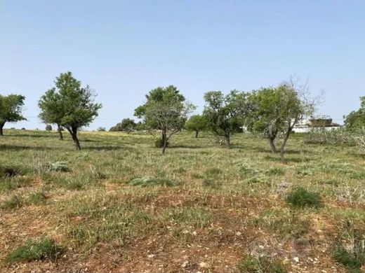 Terreno a Olhão, Distrito de Faro