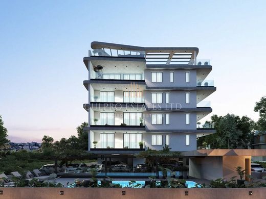 Daire Livádia, Livadia (Larnakas)