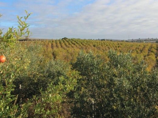 ‏קרקע ב  חרס דה לה פרונטרה, Provincia de Cádiz