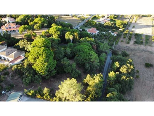 Land in Palmela, Distrito de Setúbal