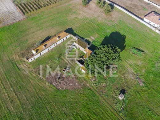 Terreno - Palmela, Setúbal