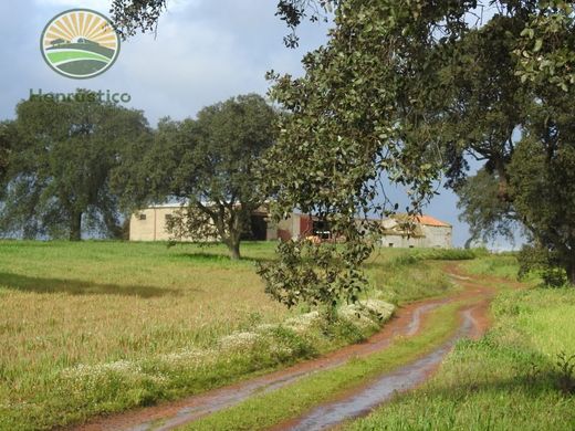 Terrain à Ferreira do Alentejo, Distrito de Beja