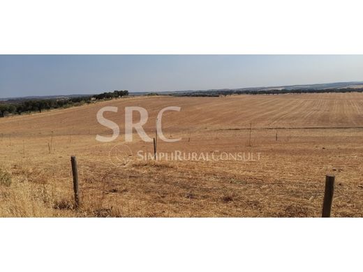 Fattoria a Alandroal, Distrito de Évora