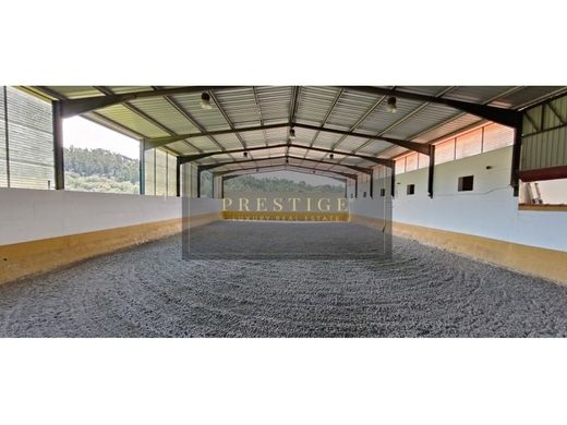 Luxe woning in Tomar, Distrito de Santarém