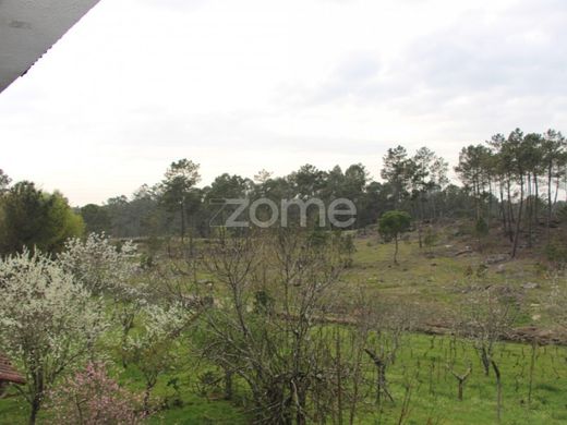 호화 저택 / Viseu, Distrito de Viseu