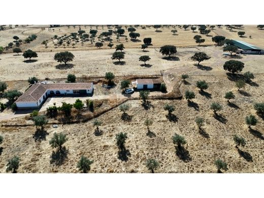 Bauernhof in Beja, Distrito de Beja