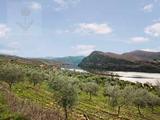 Casa di lusso a Torre de Moncorvo, Bragança