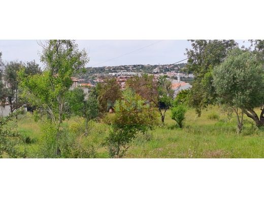Terreno - Loulé, Faro